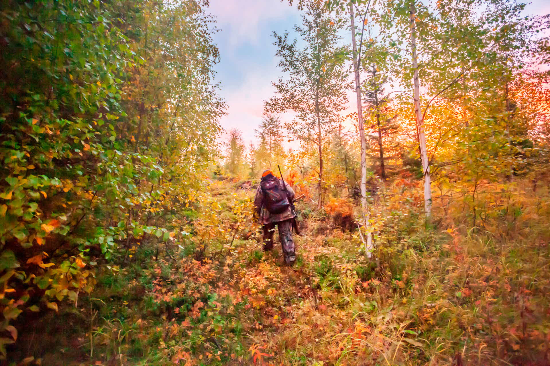 Jägare på älgjakt